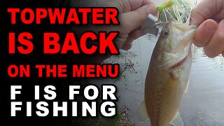 Topwater Is Back On The Menu