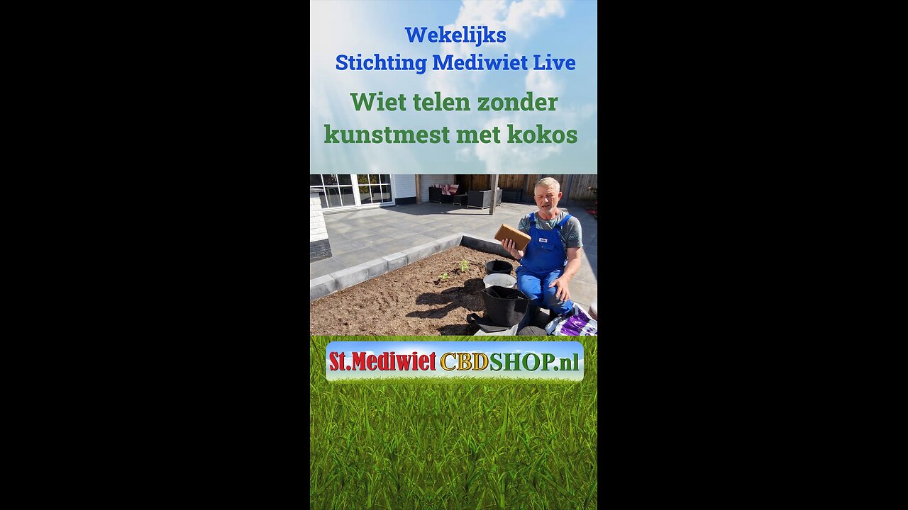 Wiet telen zonder kunstmest met kokos