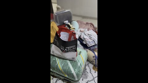 Packing er time a Fiona ke Dekho ki korche #Fiona #cat #catsofinstagram #catoftheday