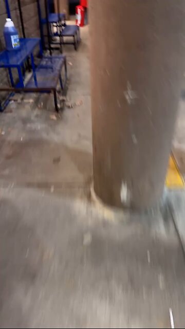 Alleged Beer Thief Caught on Camera