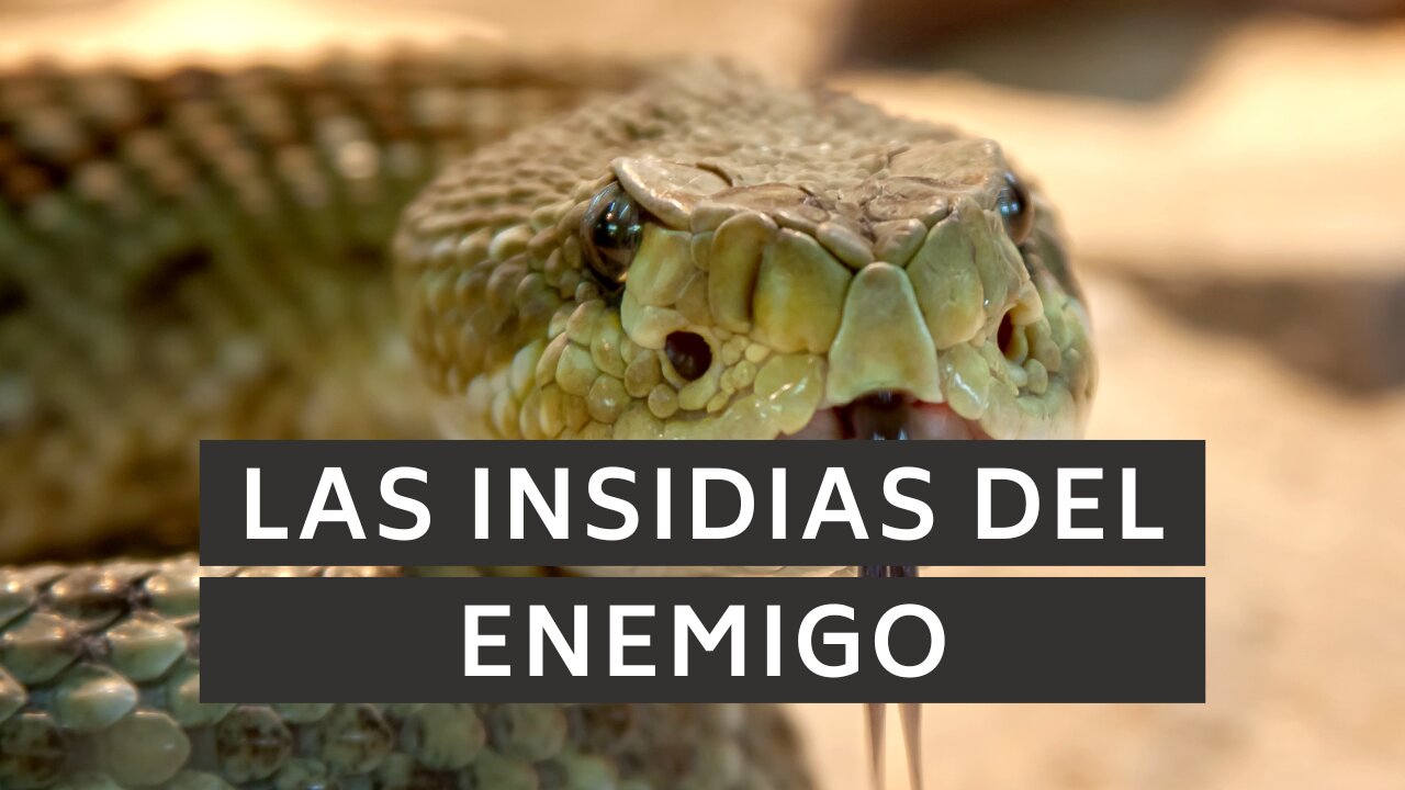 🕊️ ️Las insidias del enemigo | Efesios 6:11