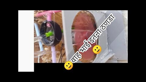 how to make coller