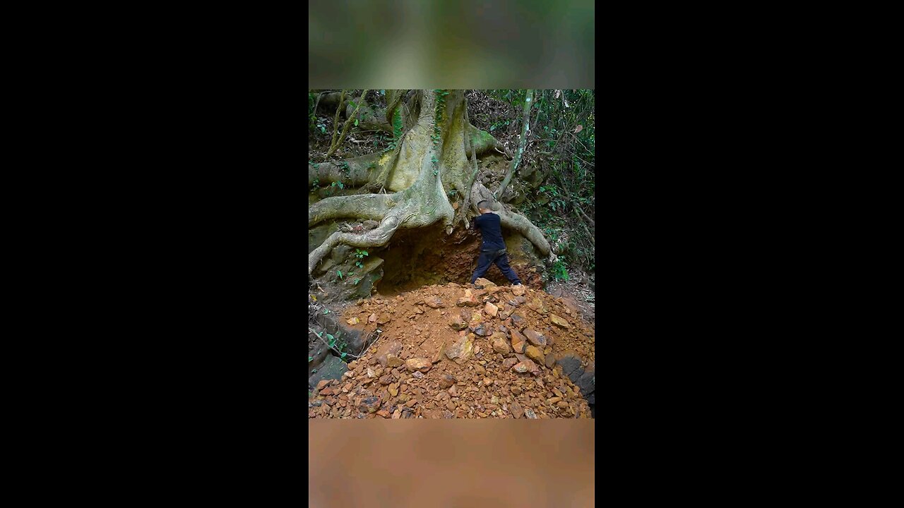 Forest Home mind Belowing