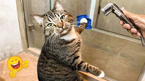 2025’s Funniest Dogs & Cats 😂 You Won’t Stop Laughing! | You Laugh You lose 😍😸😹 #Ep94