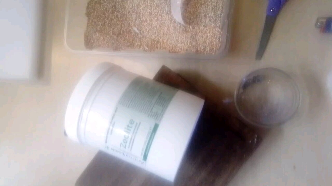 zeolite review