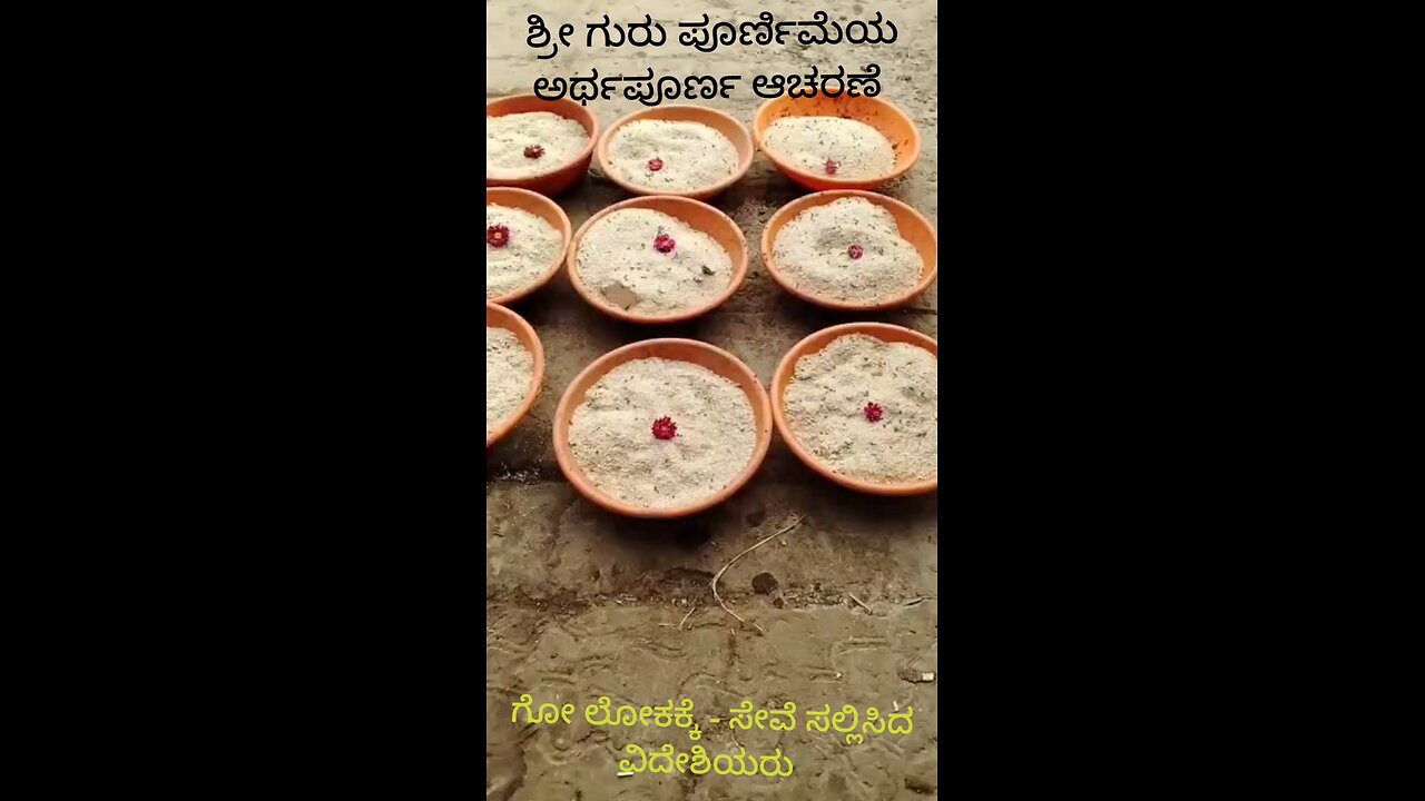 cow sences