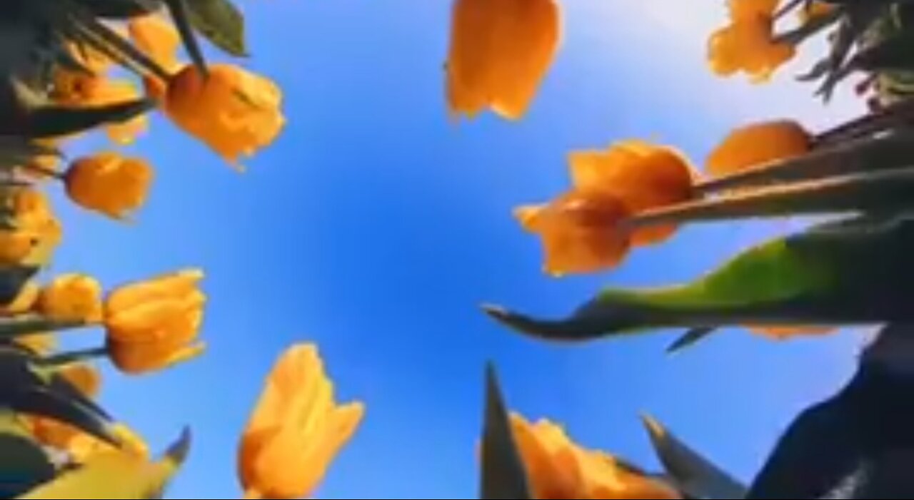 NO EXCEPTIONS TO GOD'S LOVE - DAILY DEVOTIONAL ❤️