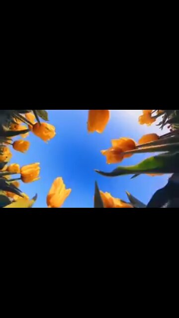 NO EXCEPTIONS TO GOD'S LOVE - DAILY DEVOTIONAL ❤️