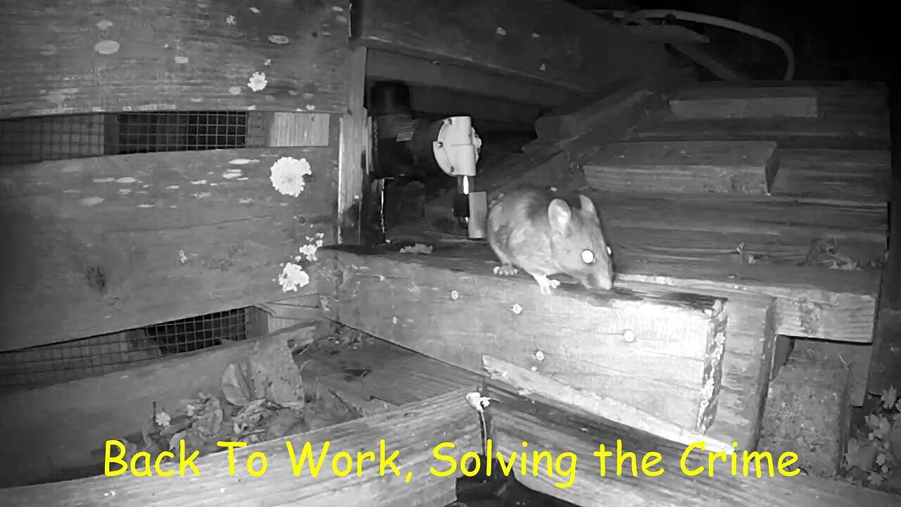 A24 Rat Trap: Detective Rat's Last Case