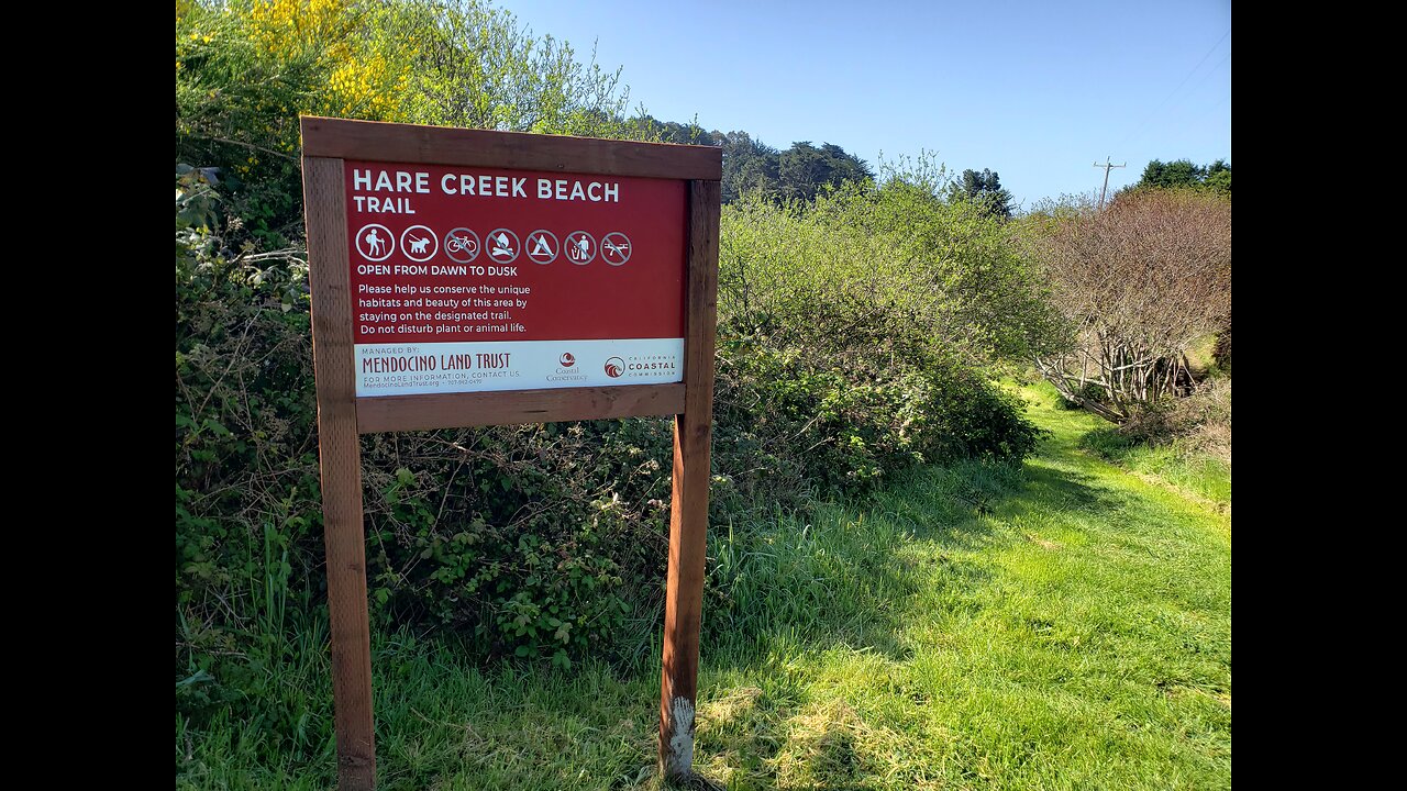HIdden beach trails part 2. Hare Creek Beach hike from Hidden Pines Campground on April 9, 2025.