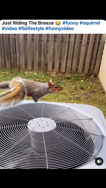 He’s riding a breeze