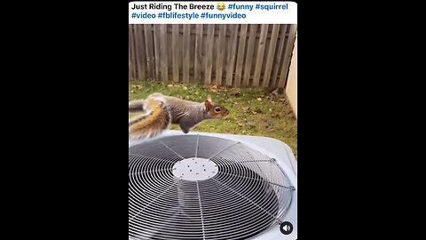 He’s riding a breeze