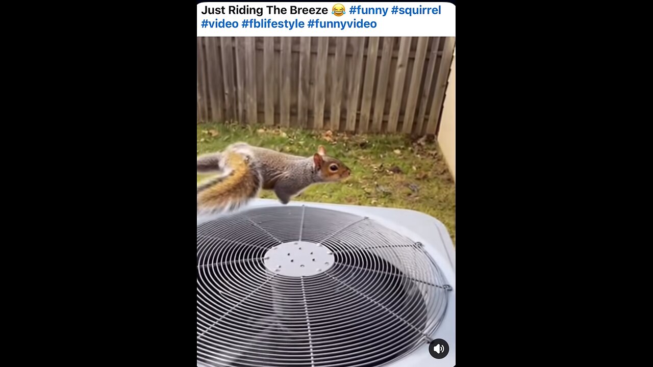 He’s riding a breeze