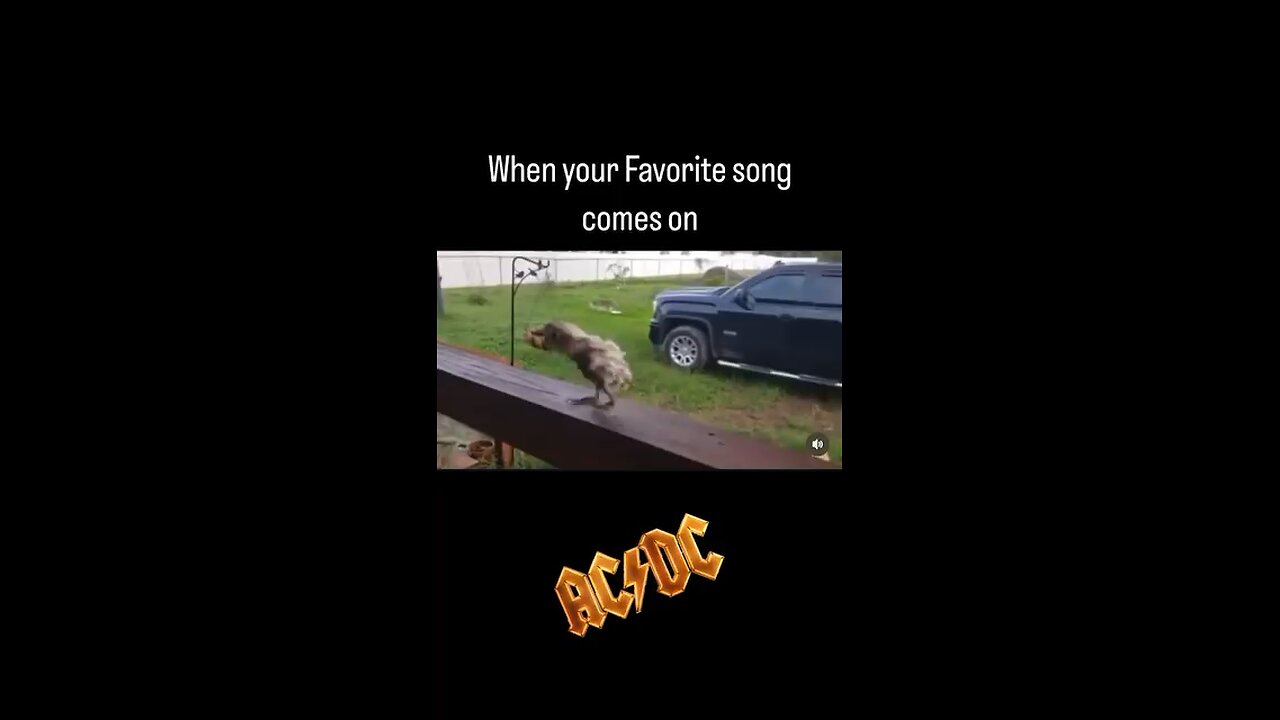 Headbanging birdie