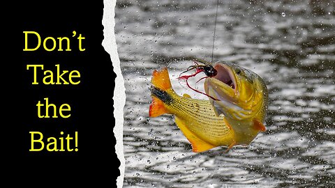 Don't Take the Bait!