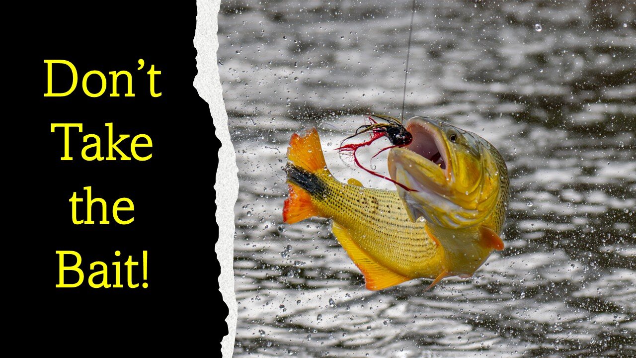 Don't Take the Bait!