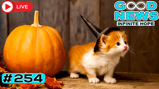 From School Bus Heroes to Fairy Godfathers of Halloween ✨ | GOOD NEWS - Infinite Hope #254