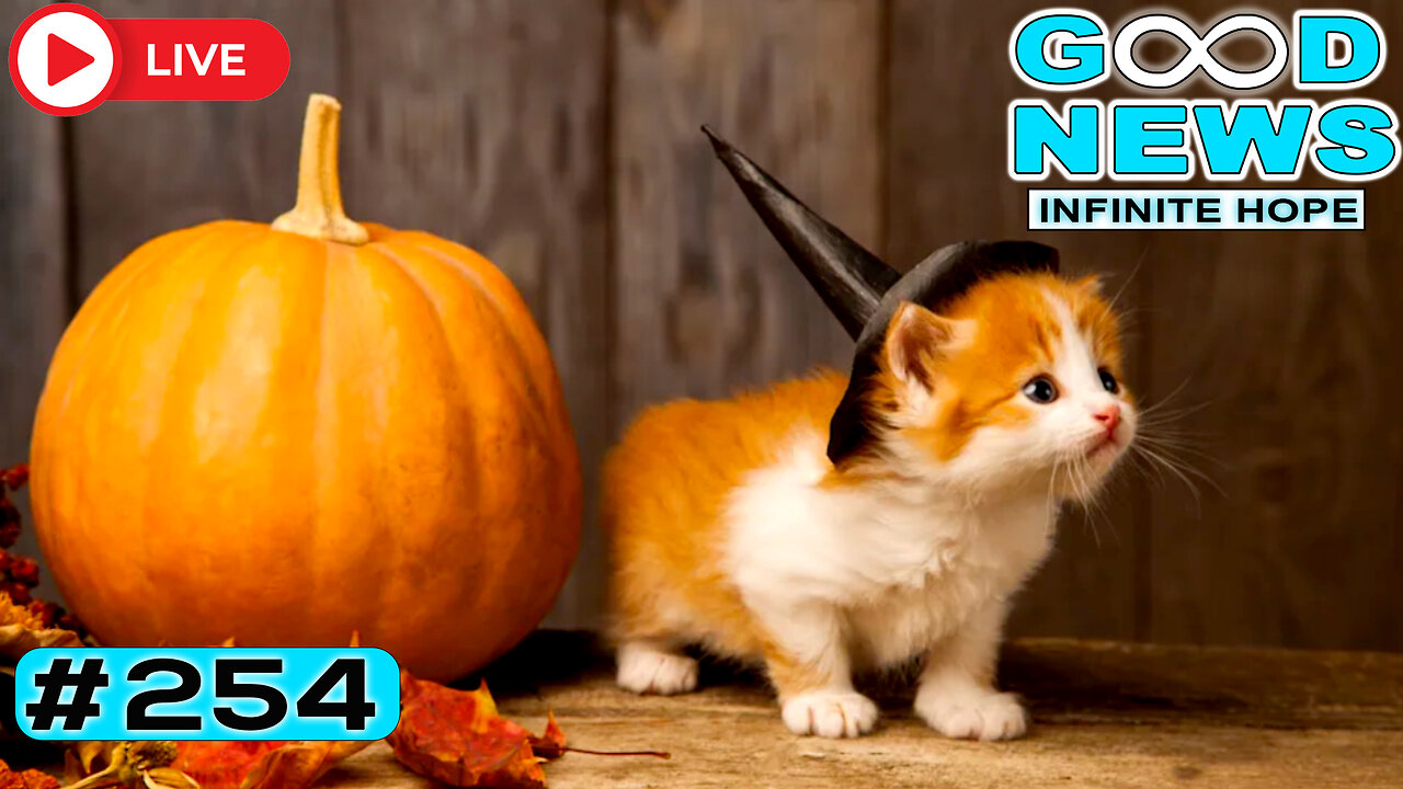 From School Bus Heroes to Fairy Godfathers of Halloween ✨ | GOOD NEWS - Infinite Hope #254