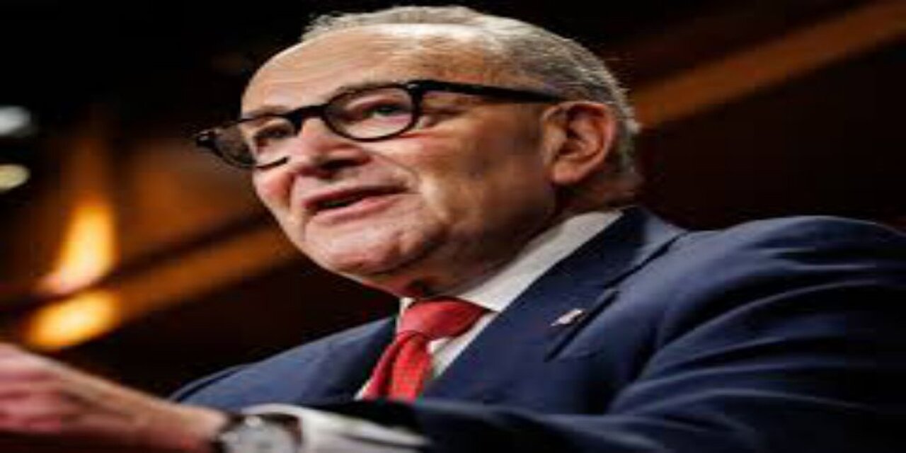 House Dems Rebel, Prod Schumer to Resign After Shutdown Deal