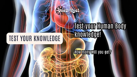 How Well Do You Know the Human Body? | Easy to Hard Quiz Challenge! 💡 #Shorts