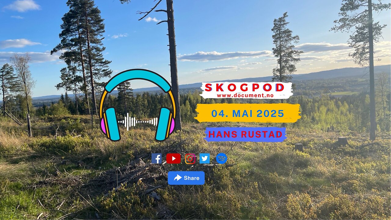 Skogpod 4. mai 2025