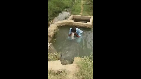 सांप ने कटा किसान को