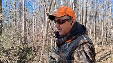 A very special afternoon hunt. Christmas 2025