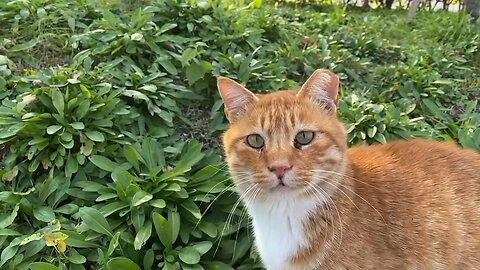 When I looked at those eyes, I was hit again.