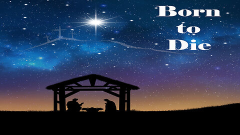 Born to Die (Official Lyric Video)