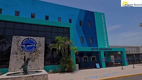 Sunday Funday at Mote Marine!