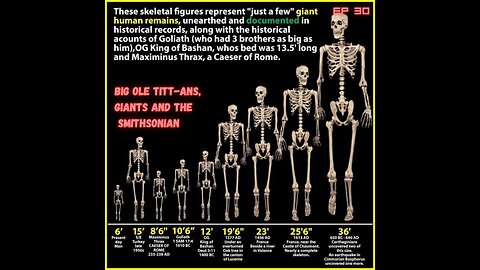 Big Ole Titt-ans, Giants and the Smithsonian