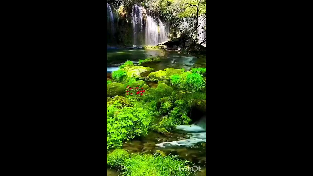 Amazing view of nature