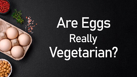 Are Eggs Really Vegetarian? | Should We Eat Eggs?