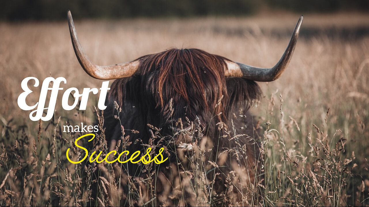 effort makes success