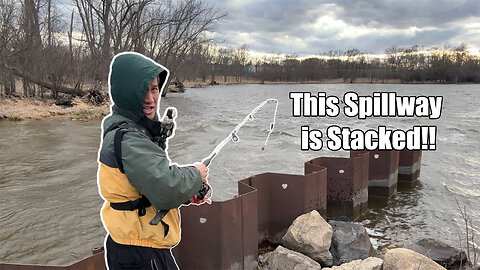 This Windy Spillway is STACKED with fish!
