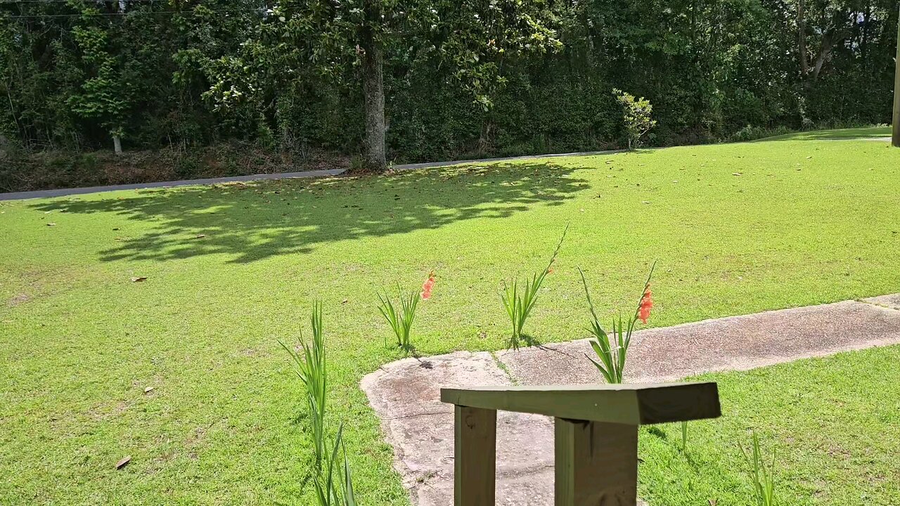 Porch Report Mother's day