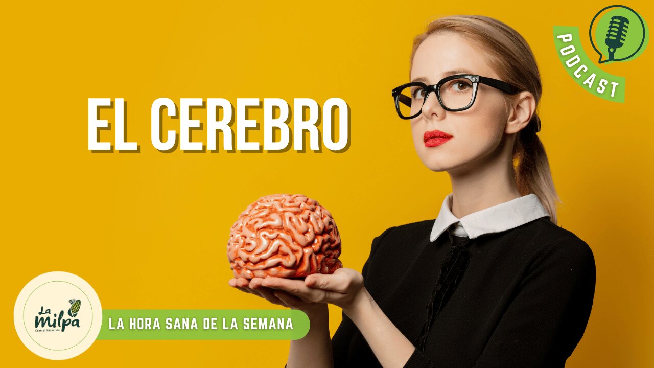 El Cerebro