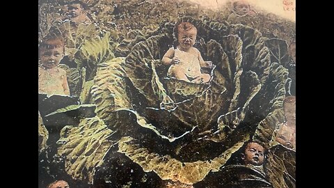 Repopulation - Cabbage Patch Children - Mud Floods - Our Continued Quest For Answers •