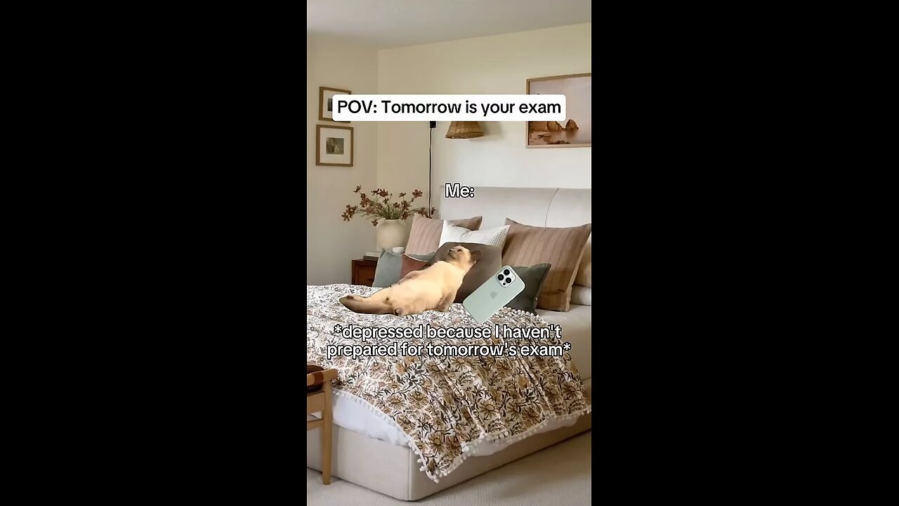 tomorrow is your exam 😂