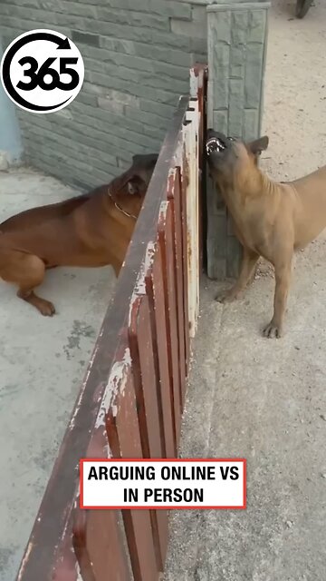 How people behave on the internet vs real life