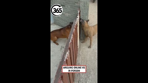 How people behave on the internet vs real life