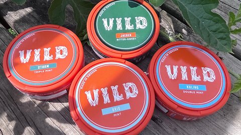 VILD Nicotine Pouches Review