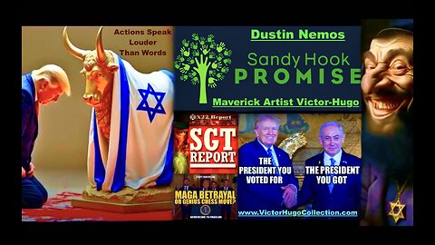 Dustin Nemos Victor Hugo Expose SGT Report X22 Report Michael Flynn Jim Fetzer Sandy Hook Promise