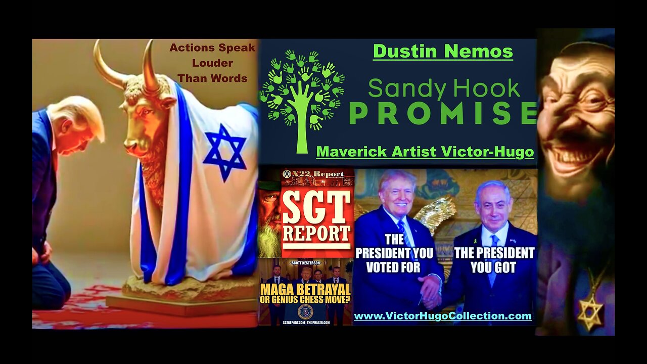 Dustin Nemos Victor Hugo Expose SGT Report X22 Report Michael Flynn Jim Fetzer Sandy Hook Promise