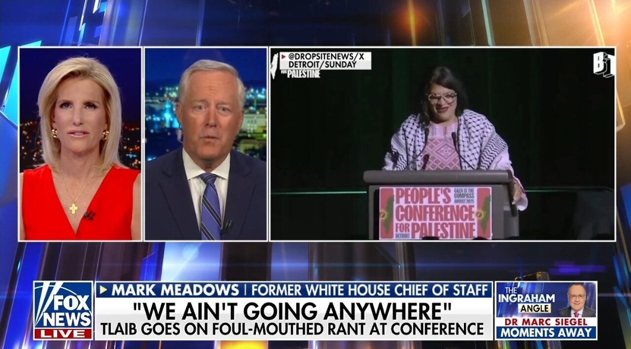 Mark Meadows: Dems New Strategy Is Radically Indoctrinate The Left