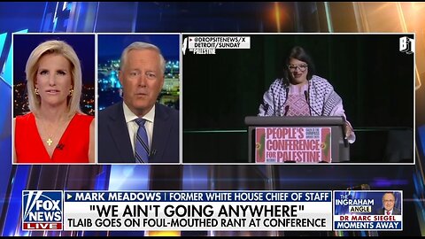 Mark Meadows: Dems New Strategy Is Radically Indoctrinate The Left