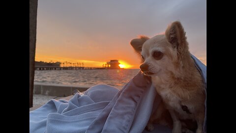 May 11 St Pete Pier