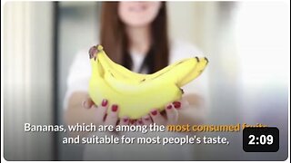 Banana Secrets: Unpeel the Truth Behind Your Favourite Fruit