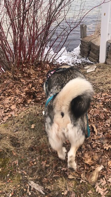 Wednesday April 9, Pay all your debts, except the debt of love for others