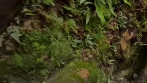 1,000-Foot Flash Flood Escape! #ExtremeSurvival